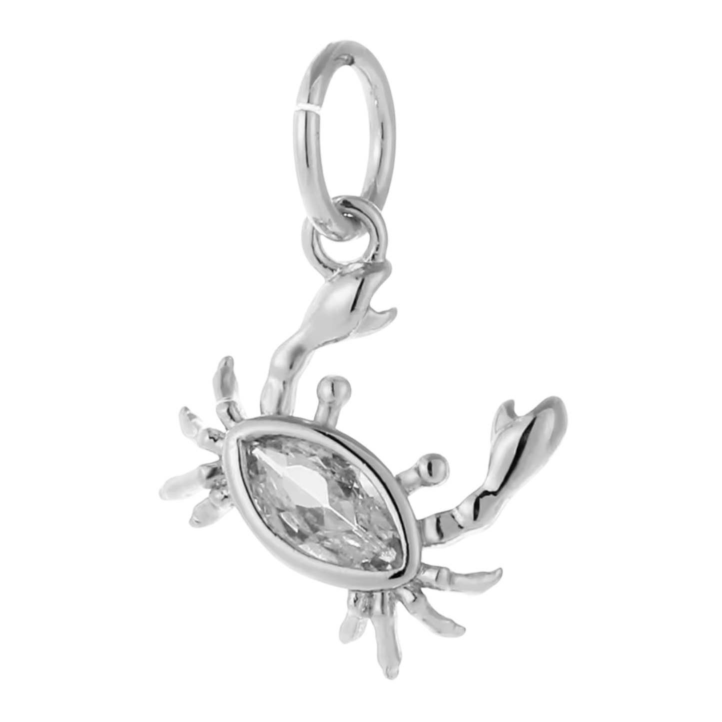 Don't Be Crab-y Charm