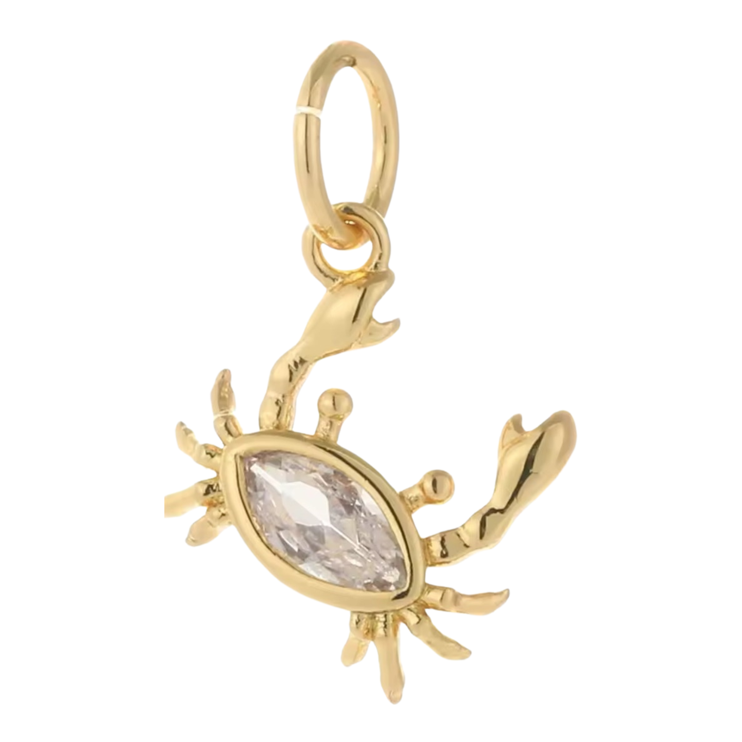 Don't Be Crab-y Charm
