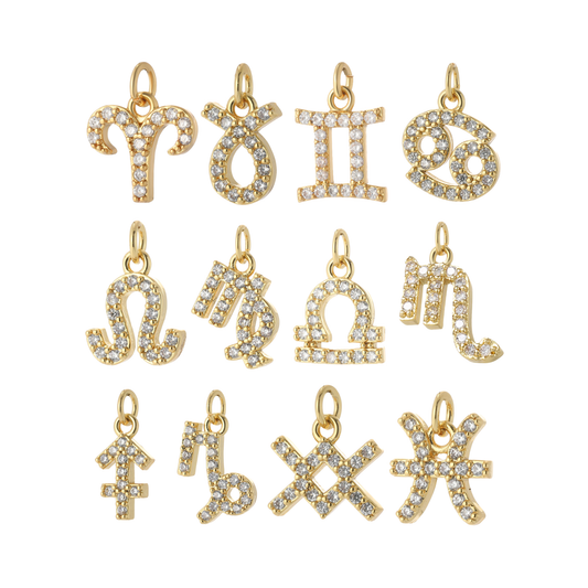 The Zodiac Charm