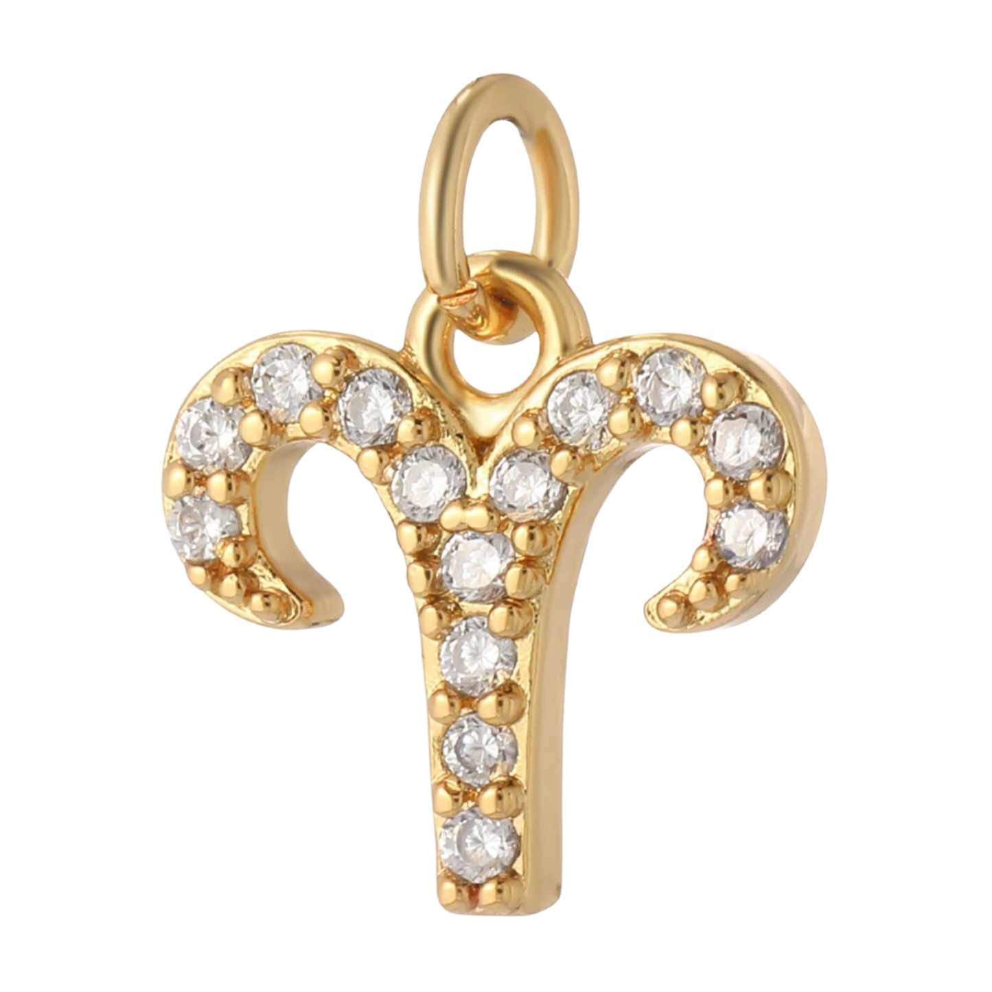 The Zodiac Charm