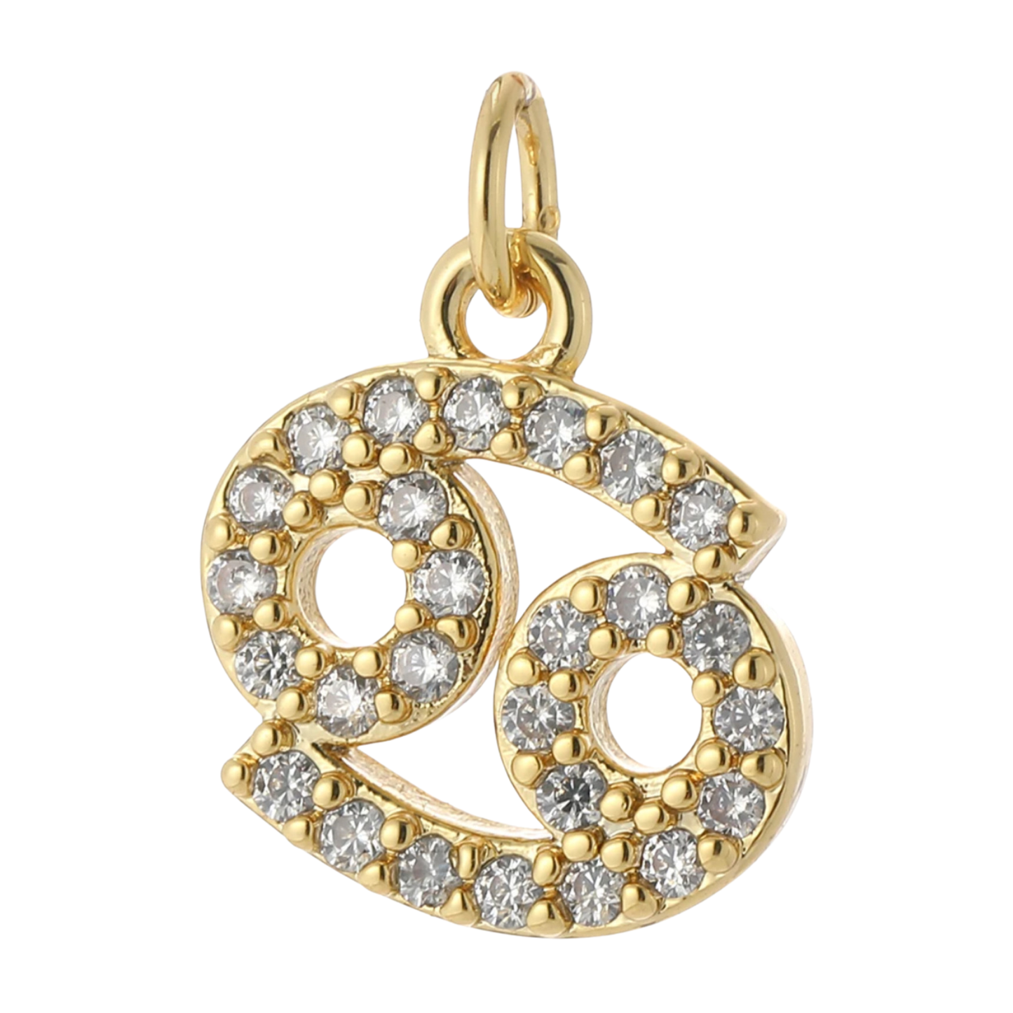 The Zodiac Charm