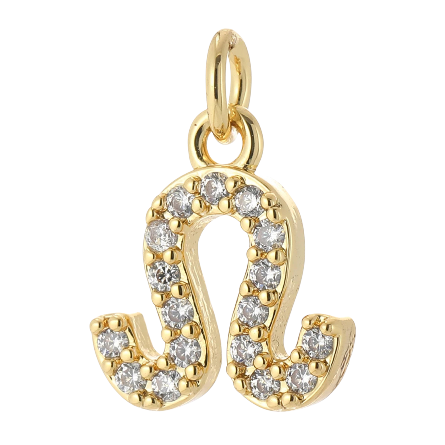 The Zodiac Charm