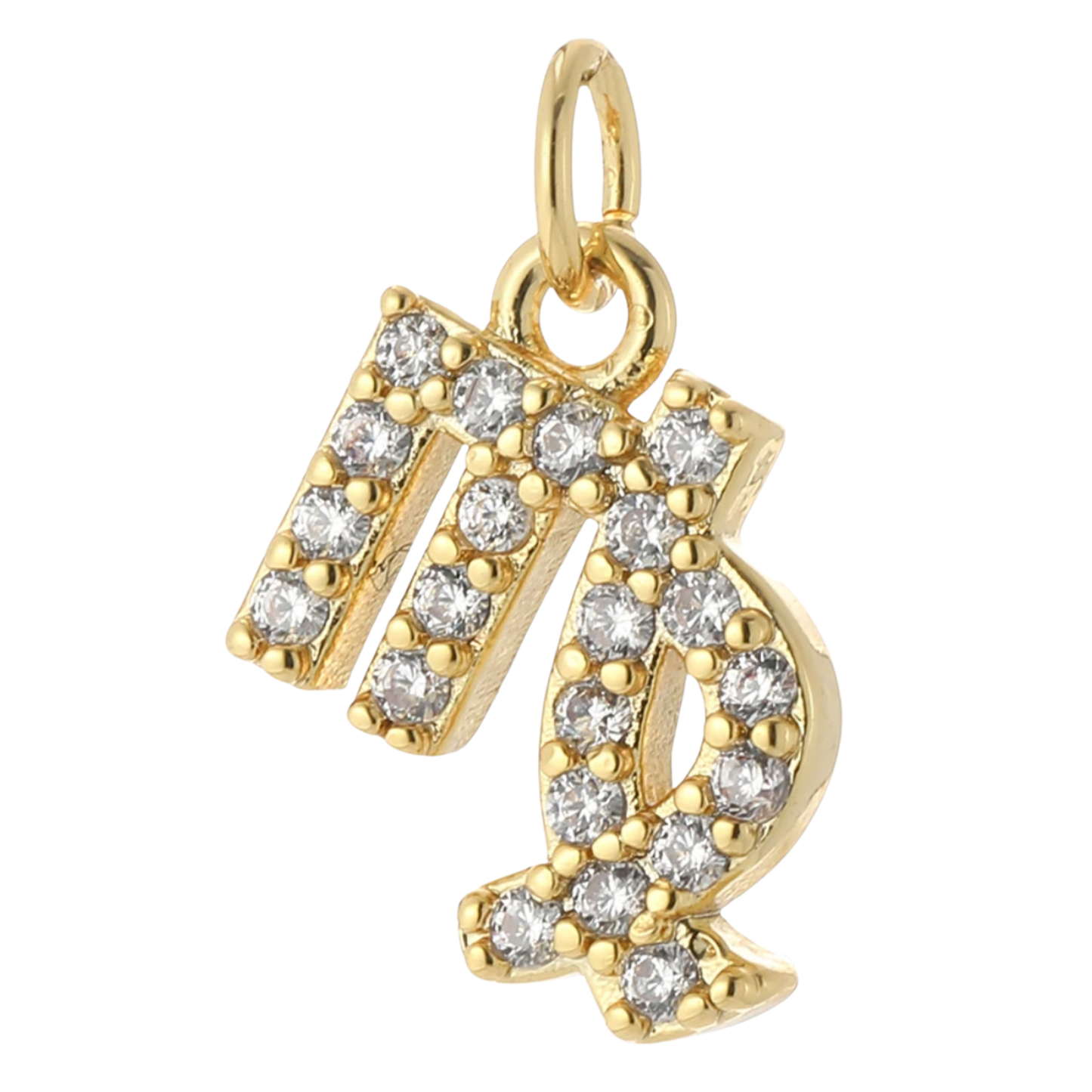 The Zodiac Charm