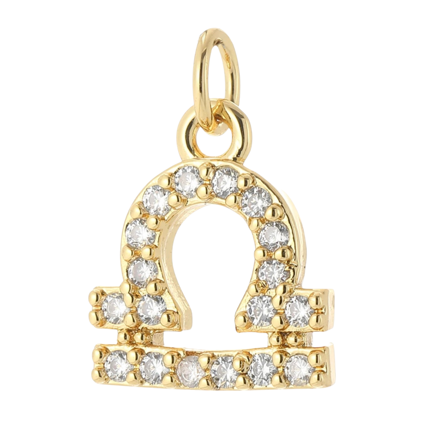 The Zodiac Charm