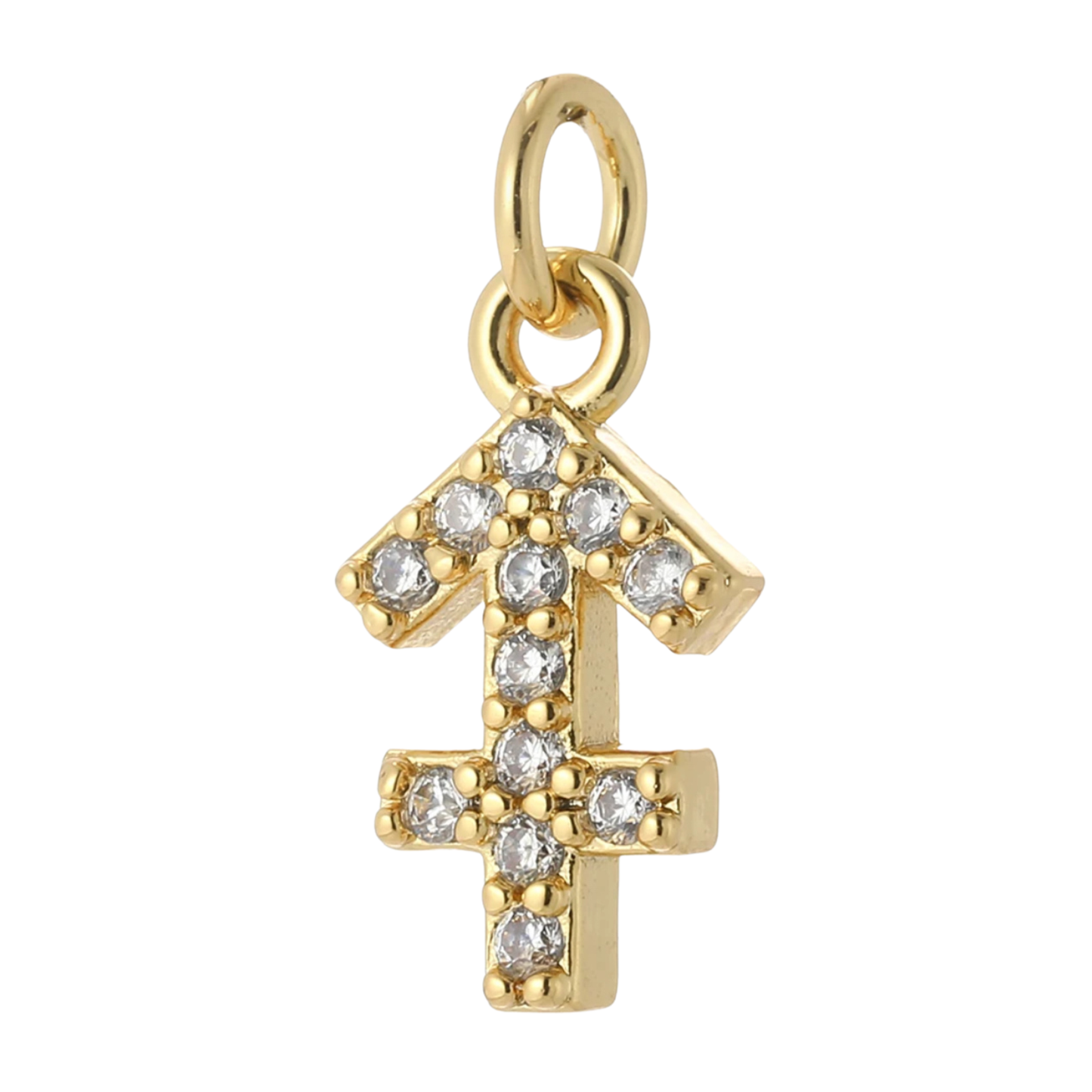 The Zodiac Charm