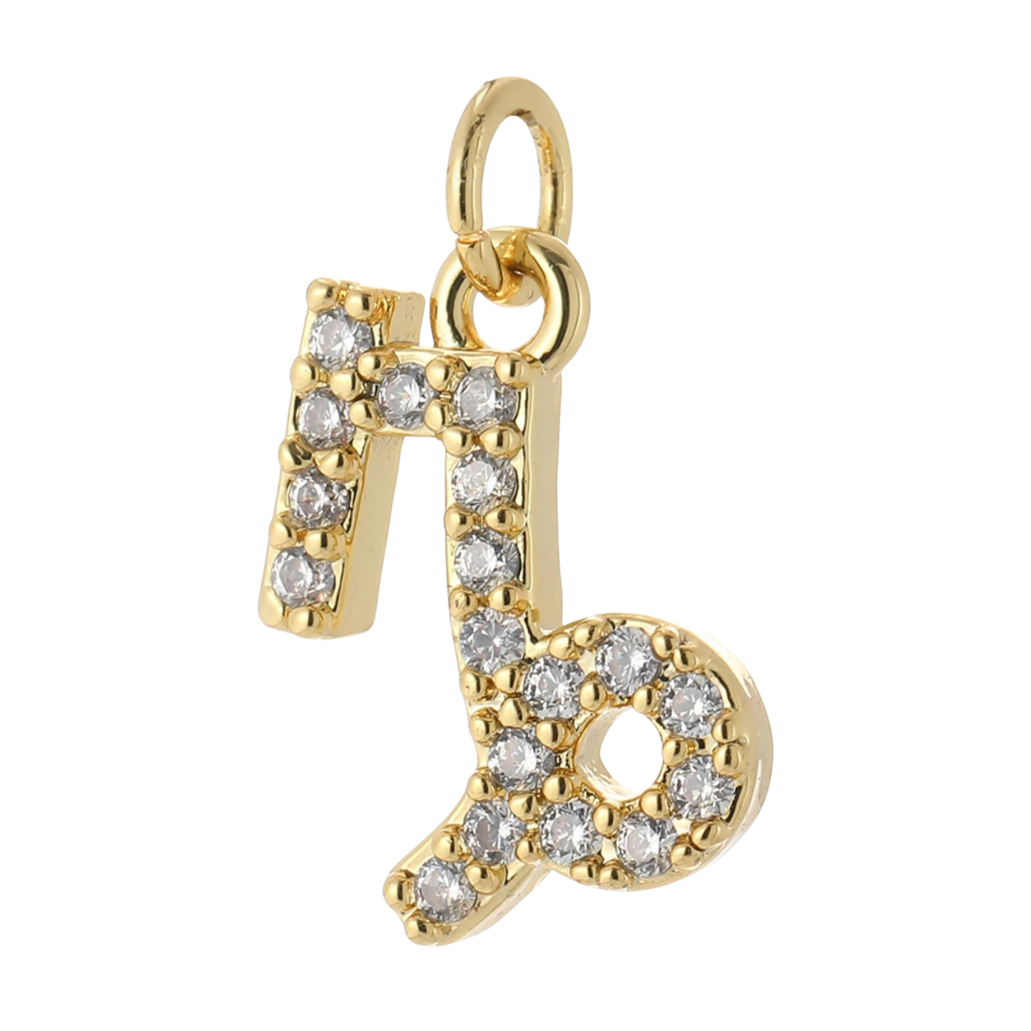 The Zodiac Charm