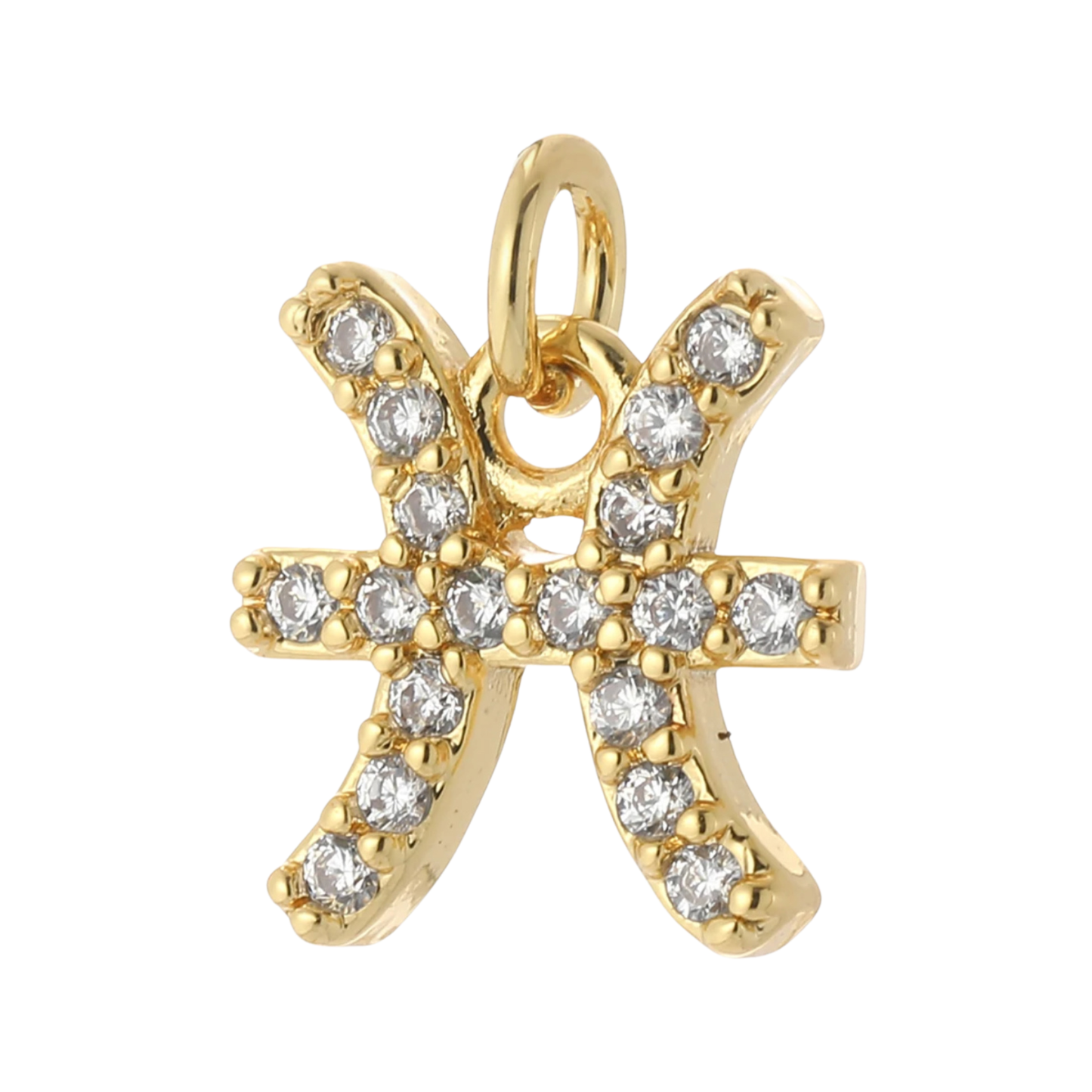The Zodiac Charm