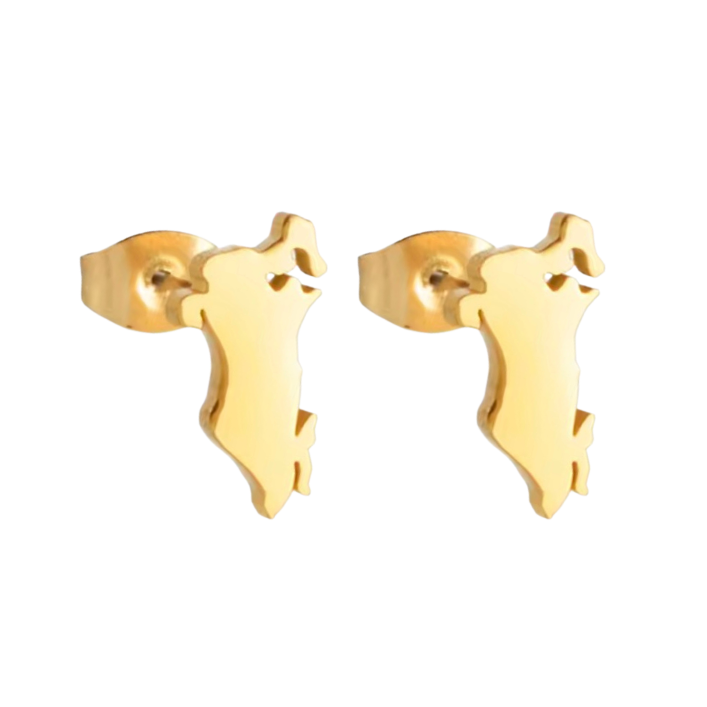 Bahrain Map Earrings