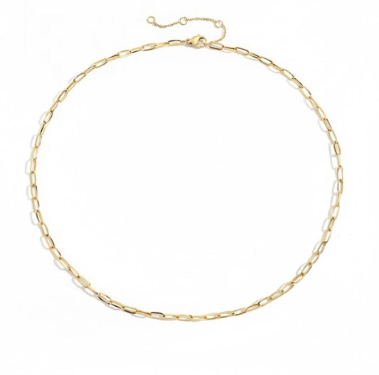 Paperclip Necklace
