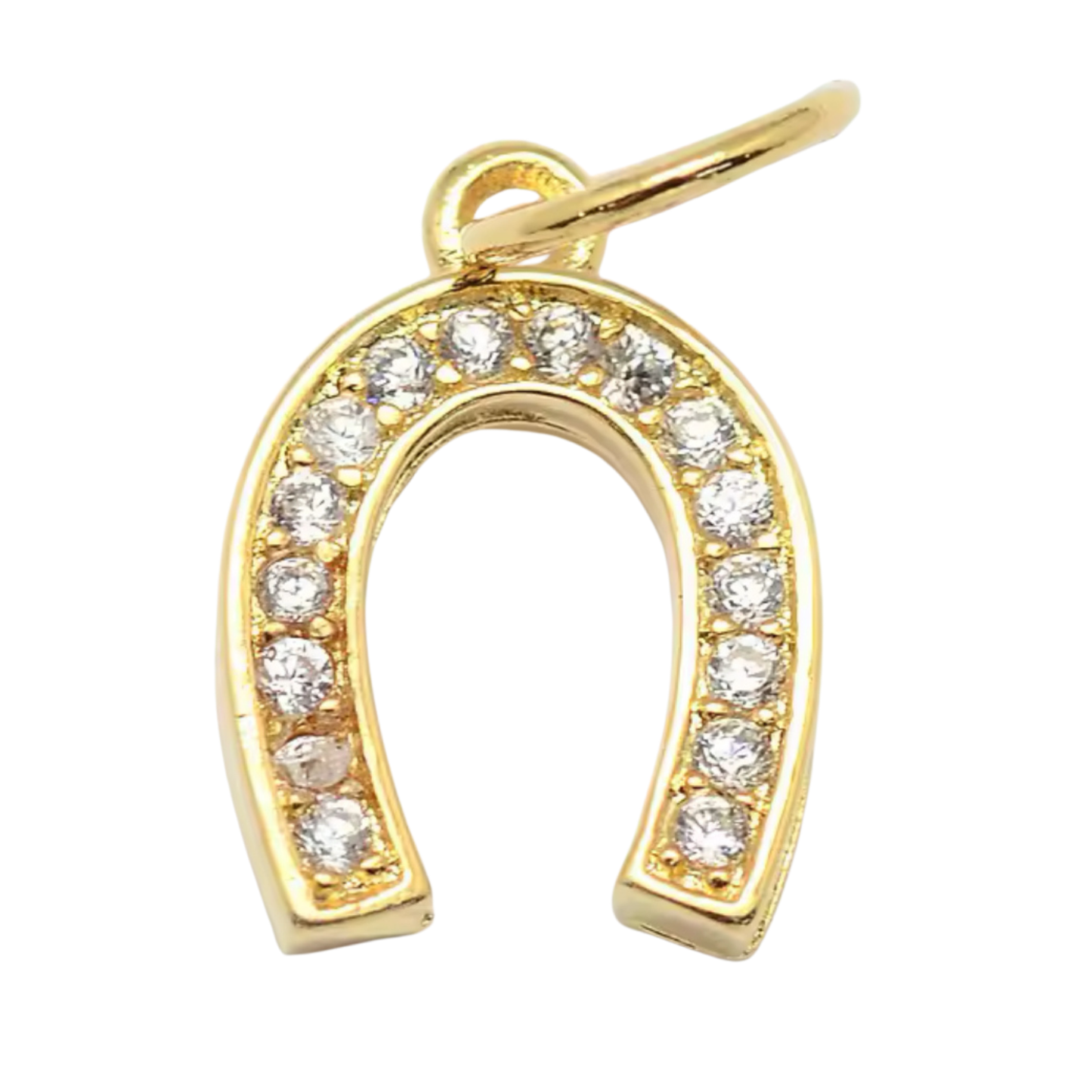 Horseshoe Charm