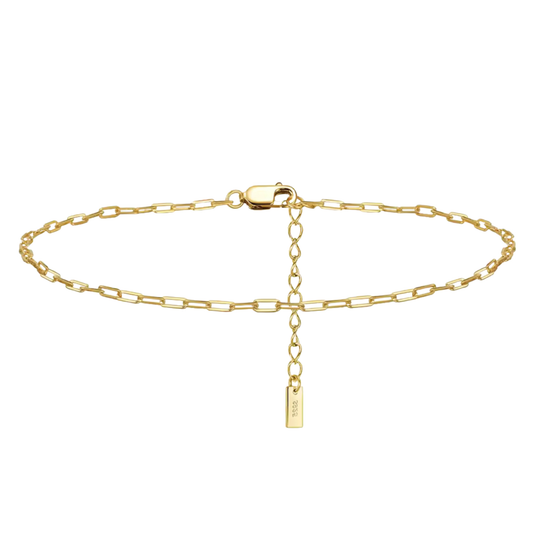 Paperclip Anklet